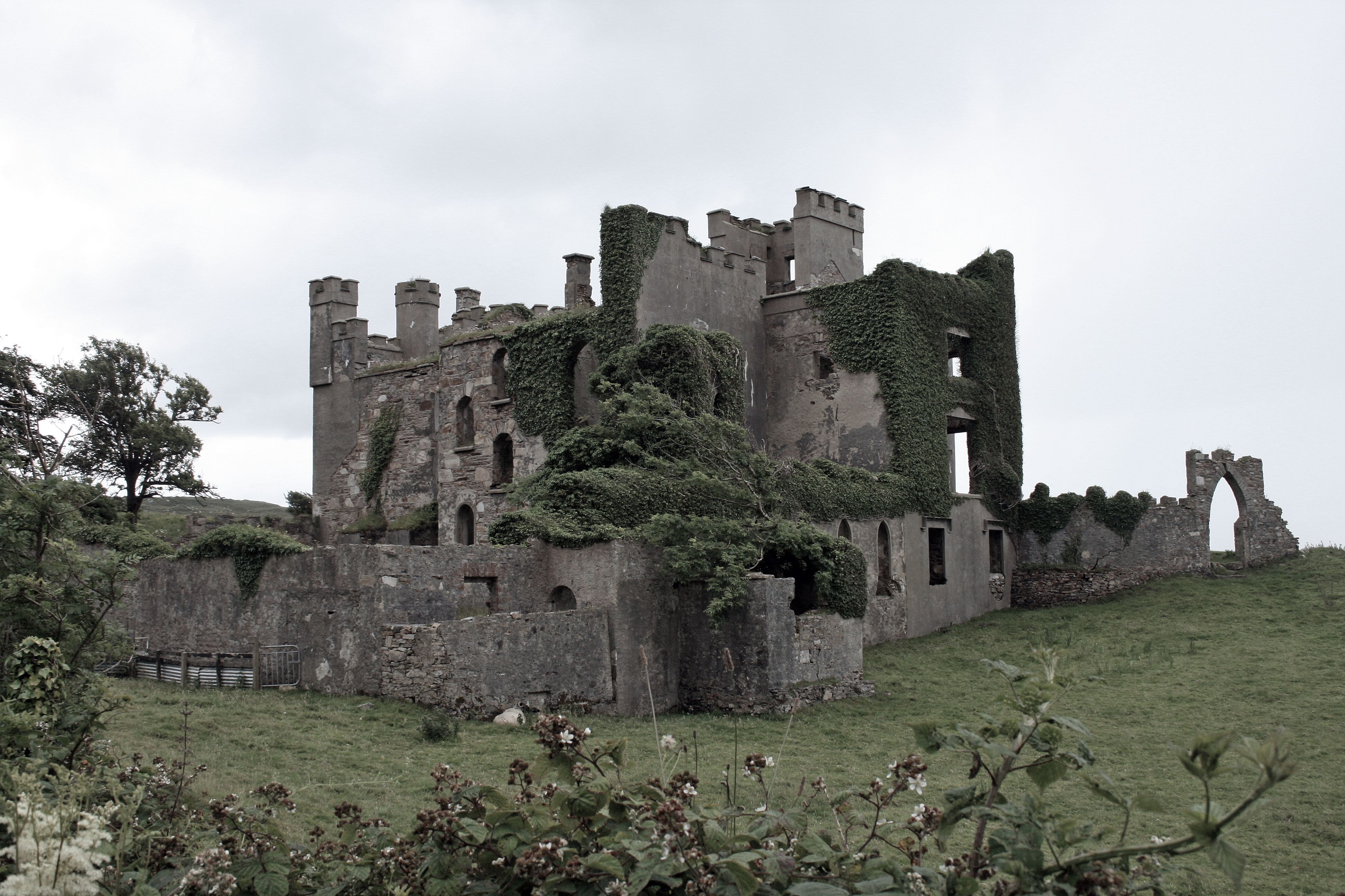 Clifden Castle sits atop a hill with green grass. The castle is now in ruins with ivy and moss growing over top of it.
